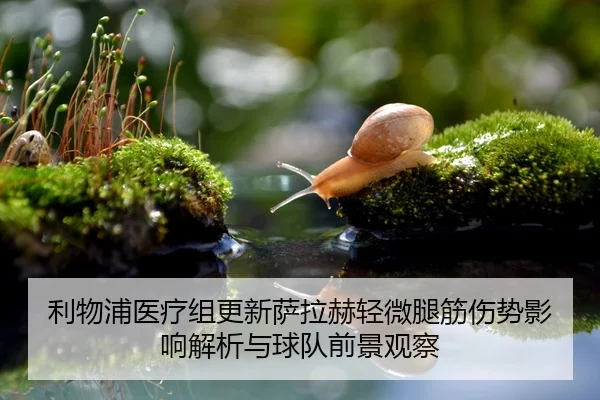 利物浦医疗组更新萨拉赫轻微腿筋伤势影响解析与球队前景观察